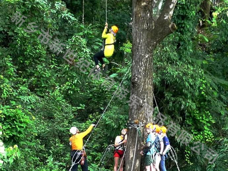 叢林穿梭遊樂設備